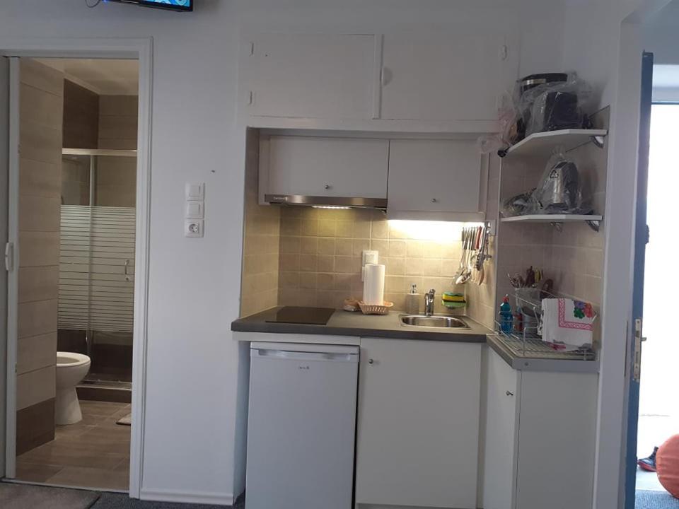 Eleni's Traditional House Apartment
